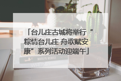 台儿庄古城将举行“粽情台儿庄 舟歌赋安康”系列活动迎端午