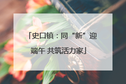 史口镇：同“新”迎端午 共筑活力家