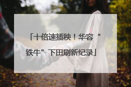 十倍速插秧！华容“铁牛”下田刷新纪录