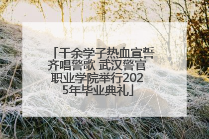 千余学子热血宣誓齐唱警歌 武汉警官职业学院举行2025年毕业典礼