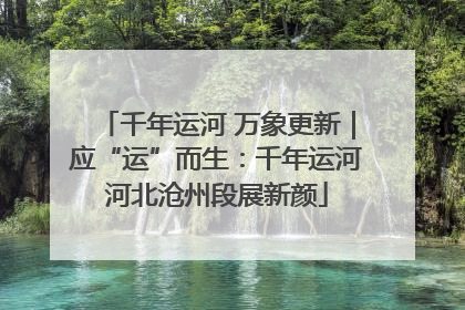 千年运河 万象更新｜应“运”而生：千年运河河北沧州段展新颜