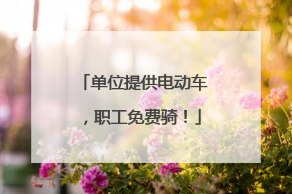 单位提供电动车，职工免费骑！