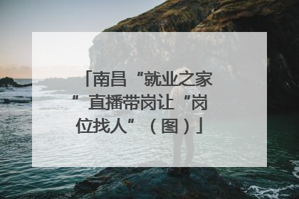 南昌“就业之家”直播带岗让“岗位找人”（图）