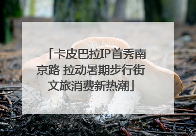 卡皮巴拉IP首秀南京路 拉动暑期步行街文旅消费新热潮