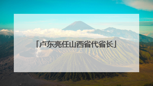 卢东亮任山西省代省长