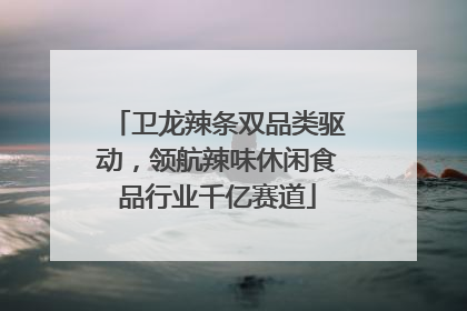 卫龙辣条双品类驱动，领航辣味休闲食品行业千亿赛道