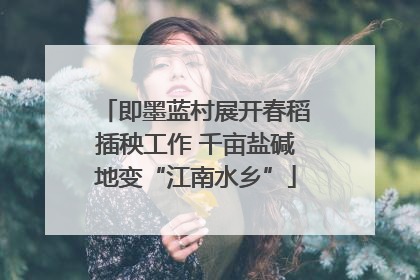 即墨蓝村展开春稻插秧工作 千亩盐碱地变“江南水乡”