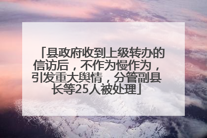 县政府收到上级转办的信访后，不作为慢作为，引发重大舆情，分管副县长等25人被处理