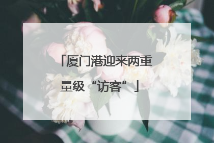 厦门港迎来两重量级“访客”
