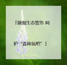 做强生态警务 呵护“森林氧吧”