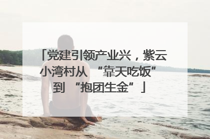党建引领产业兴，紫云小湾村从 “靠天吃饭” 到 “抱团生金”