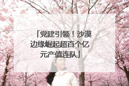 党建引领！沙漠边缘崛起超百个亿元产值连队
