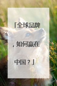 全球品牌，如何赢在中国？