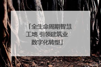 全生命周期智慧工地 引领建筑业数字化转型