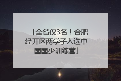 全省仅3名！合肥经开区两学子入选中国国少训练营