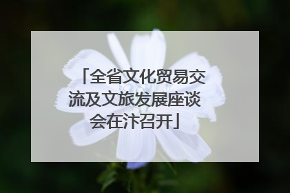 全省文化贸易交流及文旅发展座谈会在汴召开