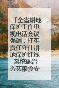全省耕地保护工作电视电话会议强调：扛牢责任守住耕地保护红线 系统施治夯实粮食安全根基 王宁作出批示 王予波出席并讲话