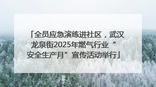 全员应急演练进社区，武汉龙泉街2025年燃气行业“安全生产月”宣传活动举行
