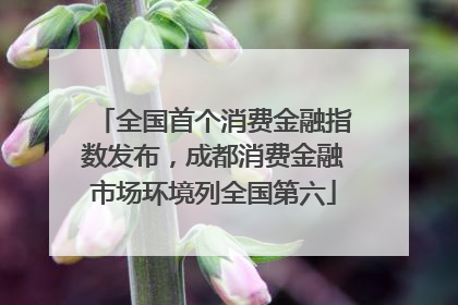 全国首个消费金融指数发布，成都消费金融市场环境列全国第六