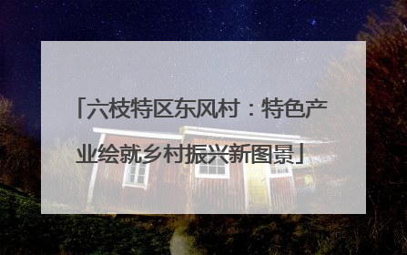 六枝特区东风村：特色产业绘就乡村振兴新图景