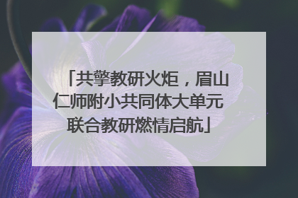 共擎教研火炬，眉山仁师附小共同体大单元联合教研燃情启航