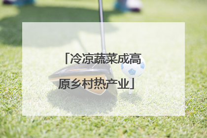 冷凉蔬菜成高原乡村热产业
