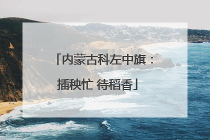 内蒙古科左中旗：插秧忙 待稻香