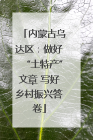内蒙古乌达区：做好“土特产”文章 写好乡村振兴答卷