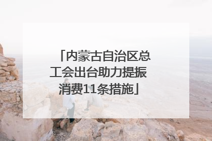 内蒙古自治区总工会出台助力提振消费11条措施