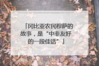 冈比亚农民穆萨的故事，是“中非友好的一段佳话”