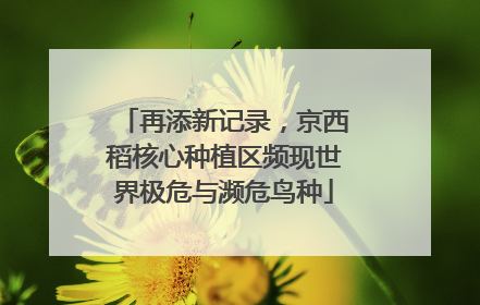 再添新记录，京西稻核心种植区频现世界极危与濒危鸟种