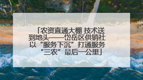农资直通大棚 技术送到地头——岱岳区供销社以“服务下沉”打通服务“三农”最后一公里