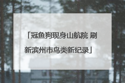 冠鱼狗现身山航院 刷新滨州市鸟类新纪录