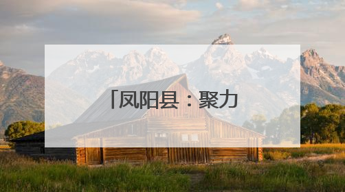 凤阳县：聚力人才引擎 共绘“大明华章”