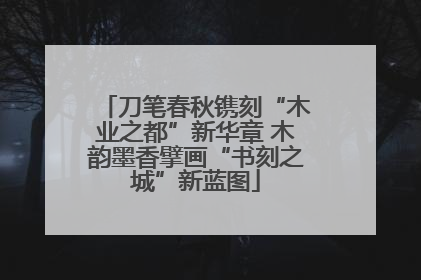 刀笔春秋镌刻“木业之都”新华章 木韵墨香擘画“书刻之城”新蓝图