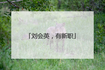 刘会英，有新职