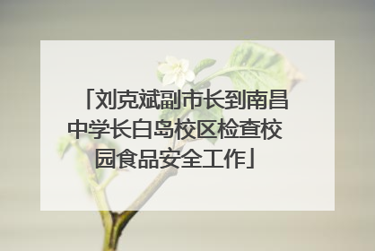 刘克斌副市长到南昌中学长白岛校区检查校园食品安全工作