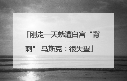 刚走一天就遭白宫“背刺” 马斯克：很失望