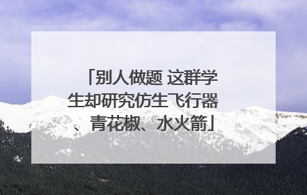 别人做题 这群学生却研究仿生飞行器、青花椒、水火箭