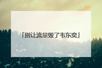 别让流量毁了韦东奕