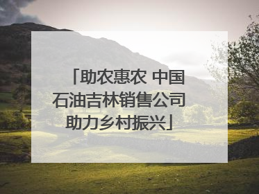 助农惠农 中国石油吉林销售公司助力乡村振兴