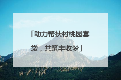 助力帮扶村桃园套袋，共筑丰收梦