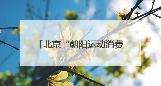 北京“朝阳运动消费季”启动，抖音生活服务“了不起的大小孩”IP联动商圈解锁暑期亲子消费新场景
