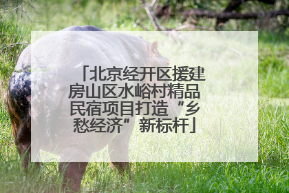 北京经开区援建房山区水峪村精品民宿项目打造“乡愁经济”新标杆