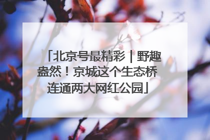 北京号最精彩｜野趣盎然！京城这个生态桥连通两大网红公园