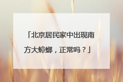 北京居民家中出现南方大蟑螂，正常吗？