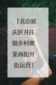 北京延庆区井庄镇乡村奥莱商街开街运营