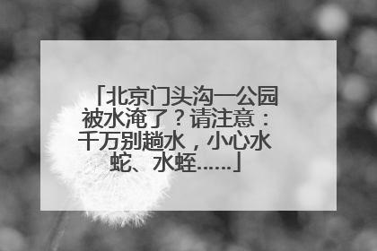 北京门头沟一公园被水淹了？请注意：千万别趟水，小心水蛇、水蛭……
