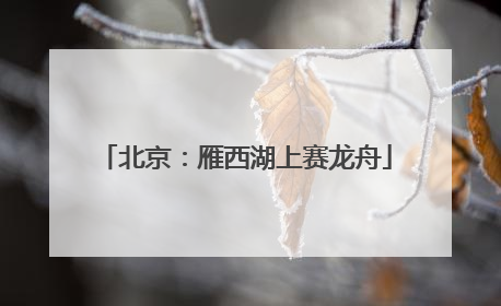 北京：雁西湖上赛龙舟