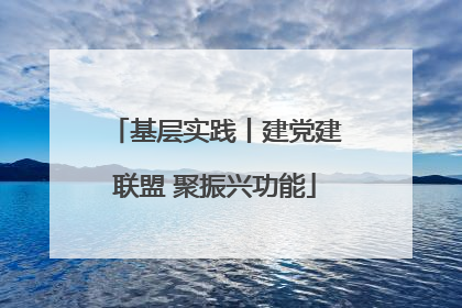 基层实践丨建党建联盟 聚振兴功能